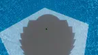 Poppy Company screenshot 3