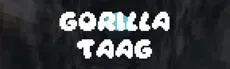 Gorilla Taag hero image