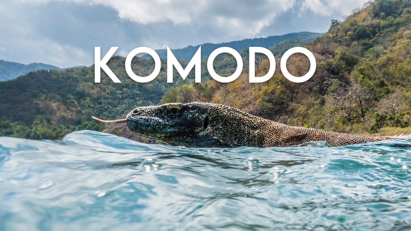 Komodo trailer 0