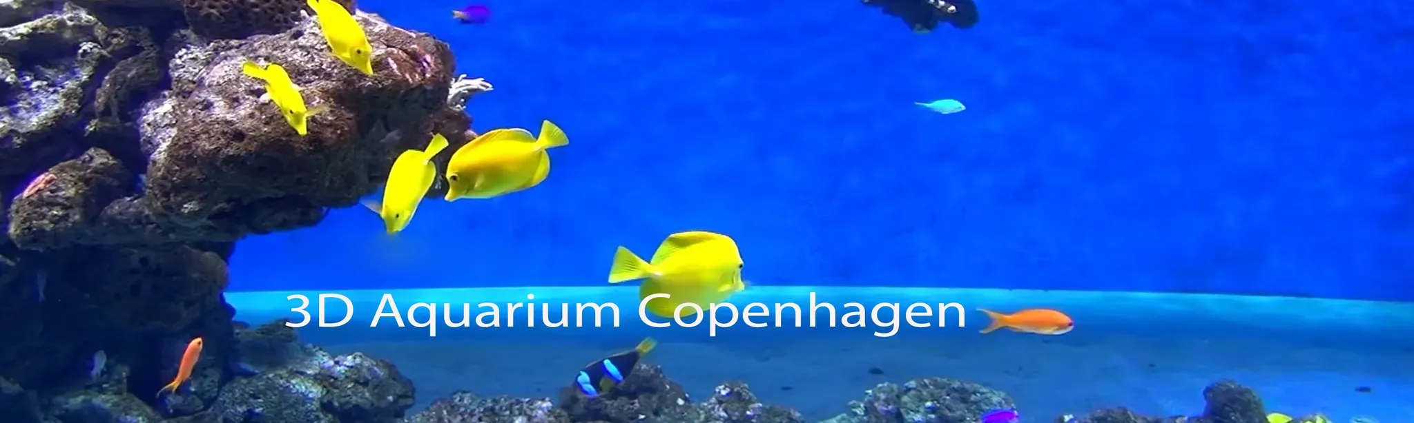 3D Aquarium Copenhagen