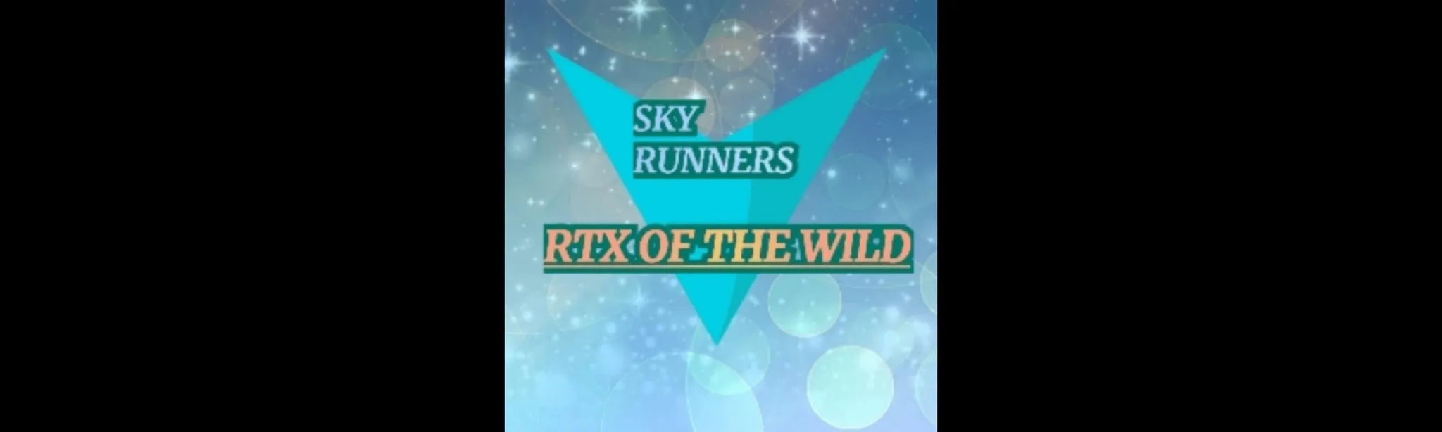 SKY RUNNERS