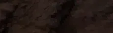 Project Scary hero image