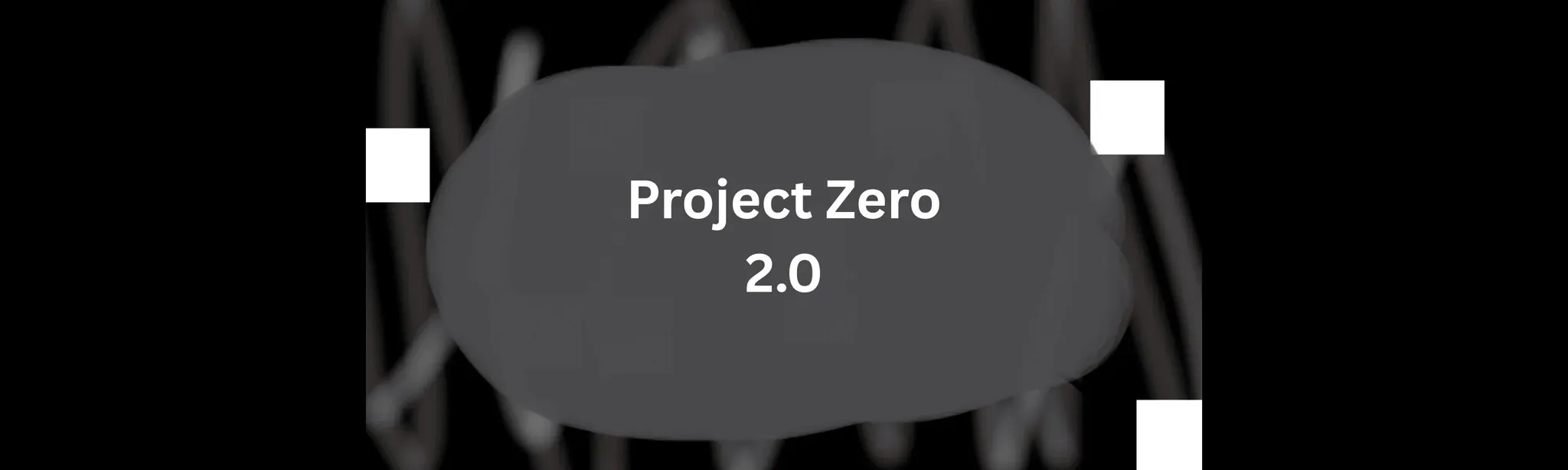 Project Zero 2.0