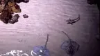 3D Aquarium Paris screenshot 3