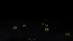 Savage Swarm VR screenshot 1