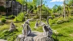 VRLIFE Nature Flow screenshot 0