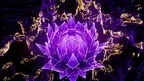 Meditation Space screenshot 1