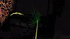 NeuronViewerVR screenshot 5