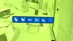Animal Vision MR screenshot 3