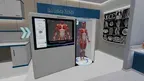 Anatomy Learning Labs: Muscular Lab screenshot 1
