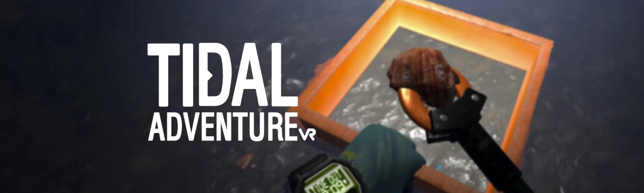 Tidal Adventure