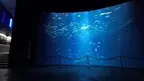 Aquariums on the Baltic Sea screenshot 1