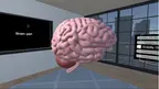 Human Brain Time screenshot 1