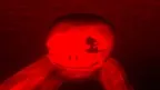 Scary Monkers Horror screenshot 4