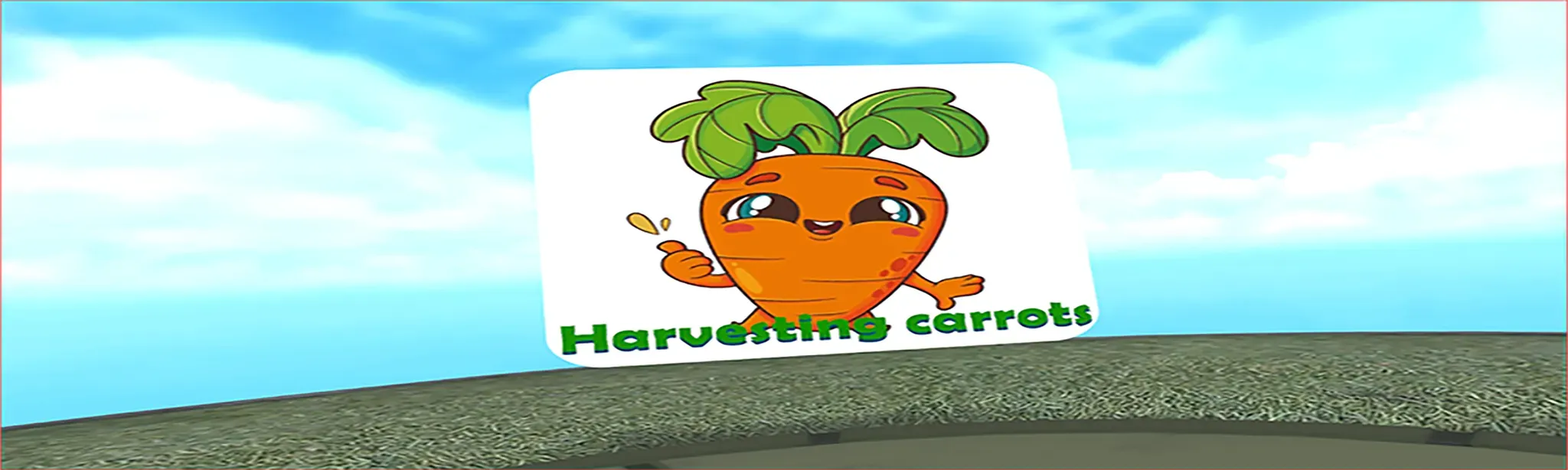 Harvesting carrot