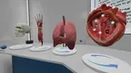 Anatomy Learning Labs: Complete Set screenshot 2