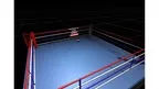 Virtual Knockout screenshot 1