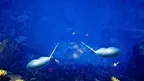 VR Deep Dive: Ocean Adventure screenshot 1