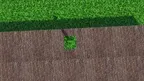 Royal Tag screenshot 1