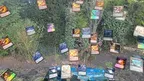 TCGXR screenshot 5