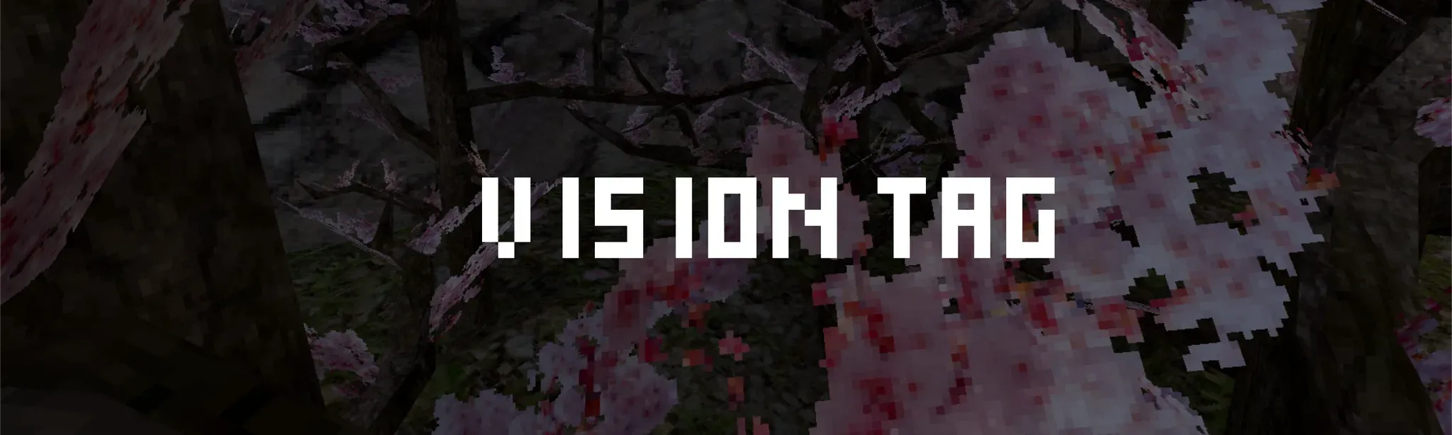 Vision Tag