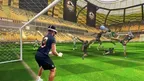CleanSheet Pro - Goalkeeper Training screenshot 1
