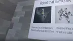 High school - biomimicry screenshot 5