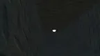 Trash Monke Horror screenshot 1