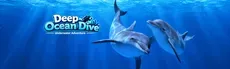 Deep Ocean Dive: Underwater Adventure hero image