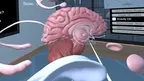 Human Brain Time screenshot 3