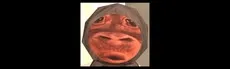 Uakari hero image