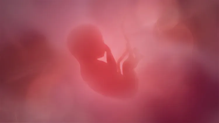 Developer update image for Wrap yourself in a gentle, womb-like sanctuary as soft light and a soothing heartbeat guide you into peaceful slumber. Try Dawn in the Sleep Arena.