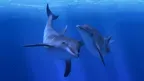 Ocean Rift screenshot 1