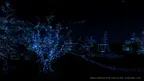 NOTES ON BLINDNESS screenshot 5