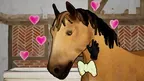 Horse & Hoof screenshot 1