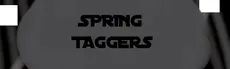 Spring Taggers hero image