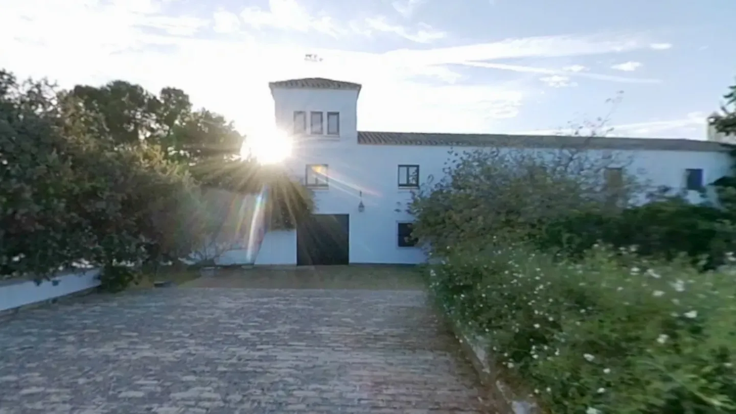 Baena Olive Grove and Oil Museum VR cover image