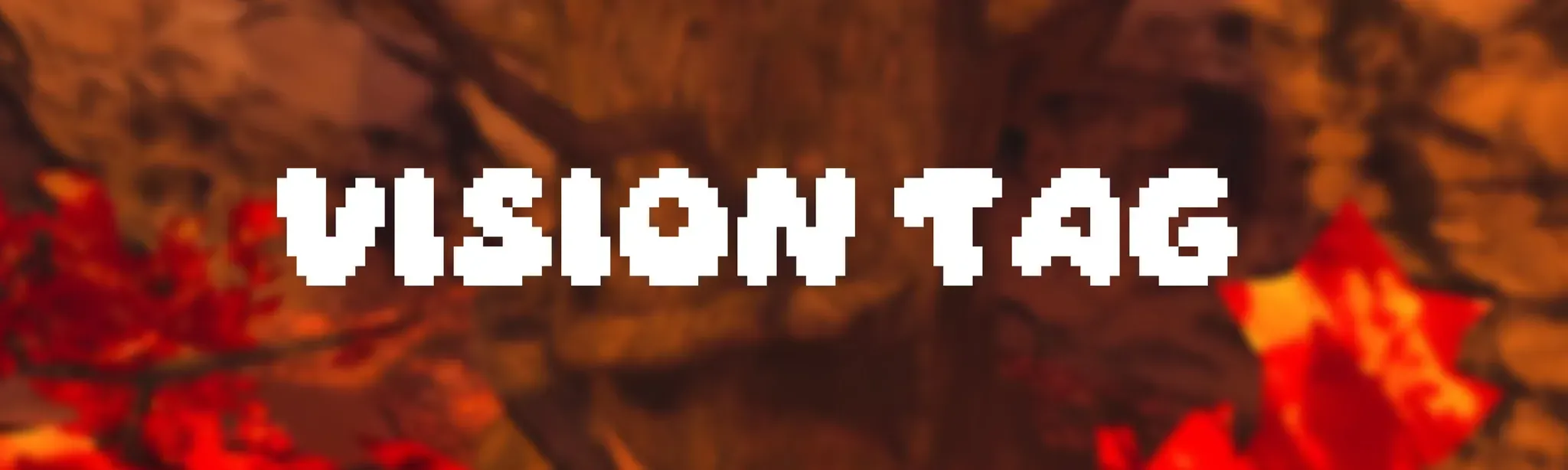 Vision Tag