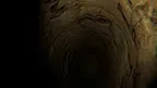 OG Fun Monke Horrоr screenshot 1