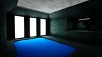 The Siamang FIles screenshot 5