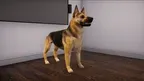 VBIDogExposure screenshot 5