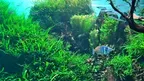 2D/3D Canary Islands screenshot 2