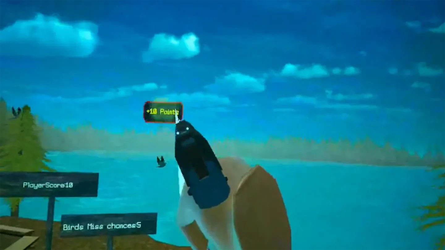 Bird Hunter Quest cover image