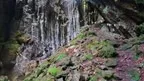 3D scan of a basalt canyon screenshot 2