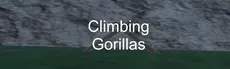 Climbing Gorillas hero image