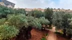 Jerusalem Historical Tours screenshot 2