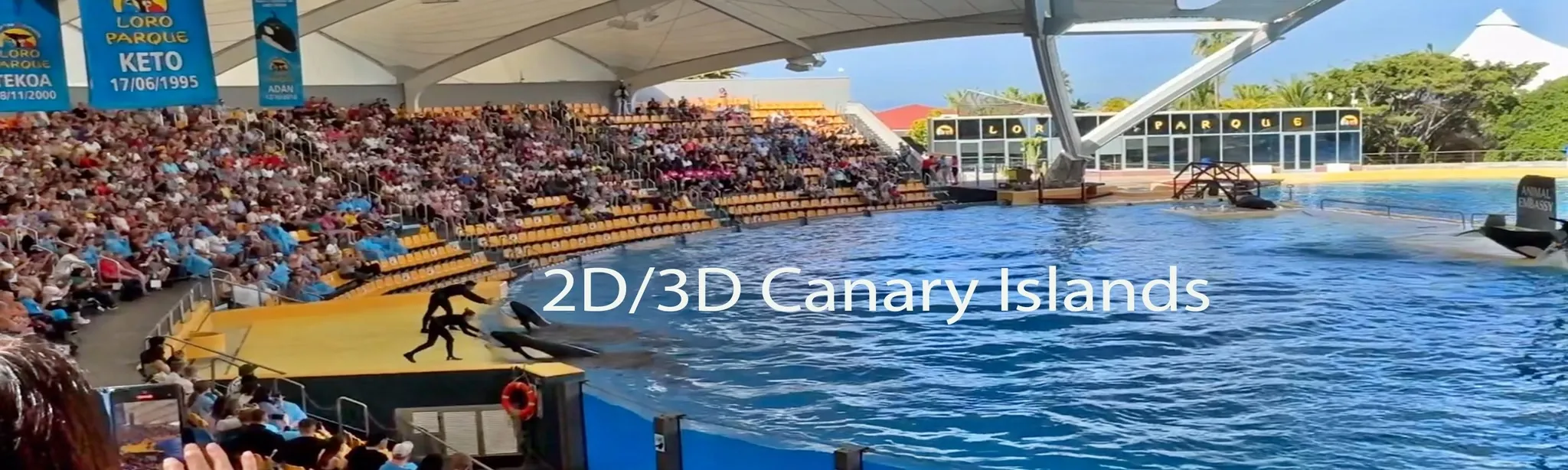 2D/3D Canary Islands