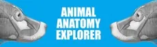 Animal Anatomy Explorer hero image