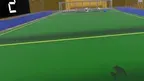 Paralympic - GoalBall screenshot 3