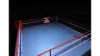 Virtual Knockout screenshot 1